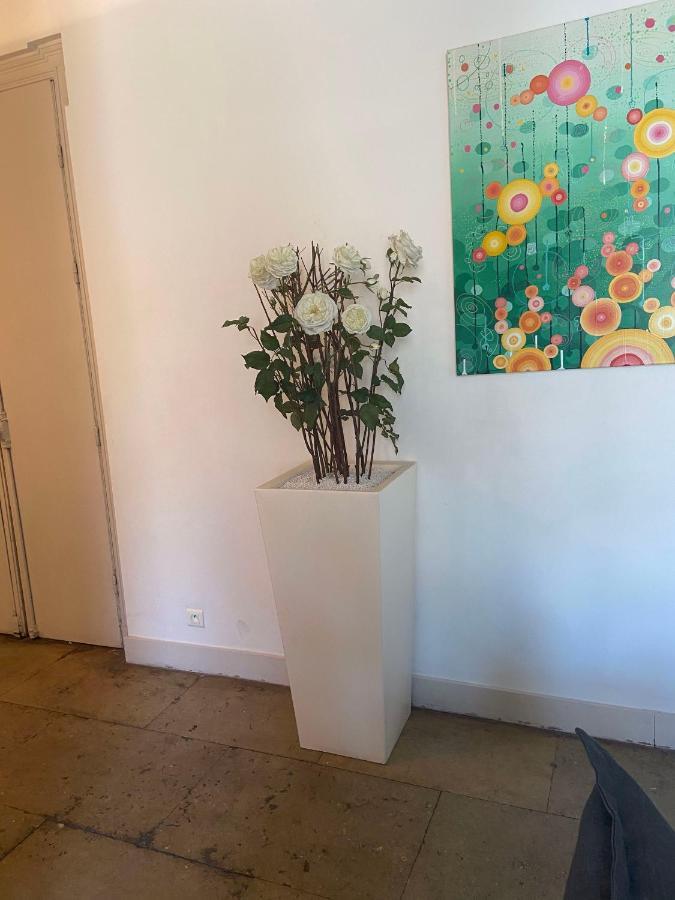 モンペリエMagnifique Duplex Climatise En Centre Villeアパートメント エクステリア 写真